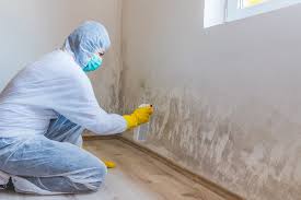 Why You Should Choose Our Mold Remediation Services in Corning, CA