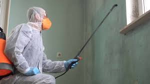 Best Biohazard Mold Removal in Corning, CA