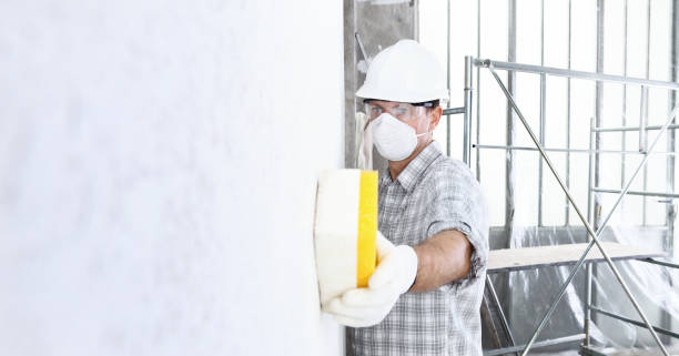 Reliable Corning, CA Mold Removal Solutions