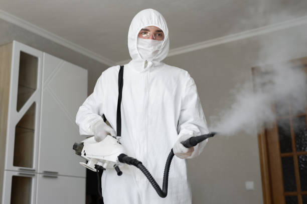 Best Mold Remediation for Healthcare Facilities in Corning, CA