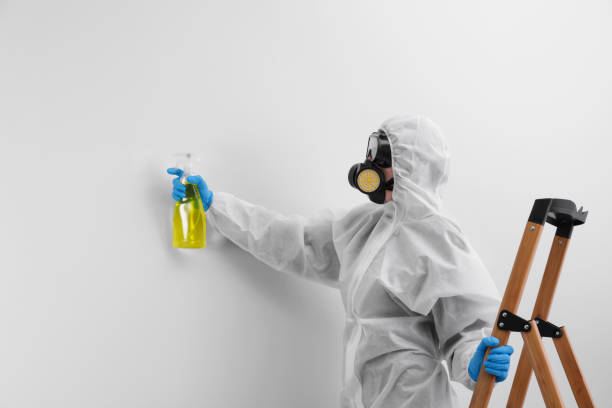 Best Mold Prevention Services in Corning, CA